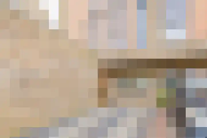Lisdodde 51 Alphen aan den Rijn thumbnail 4
