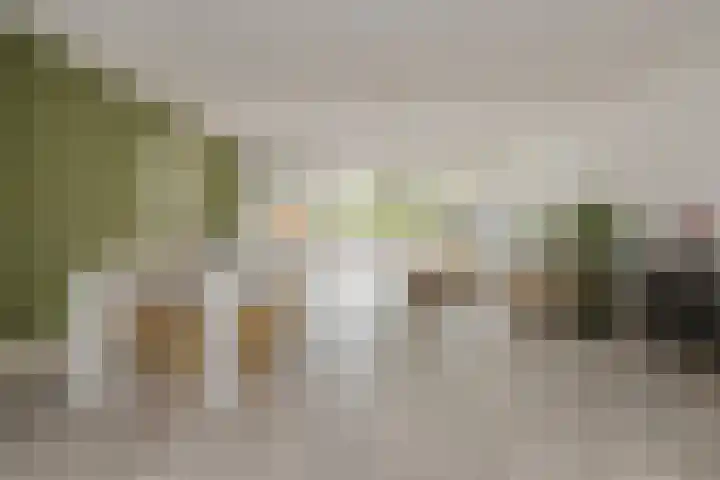 Lisdodde 51 Alphen aan den Rijn thumbnail 6