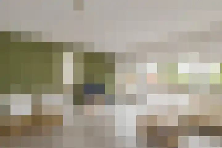 Lisdodde 51 Alphen aan den Rijn thumbnail 7