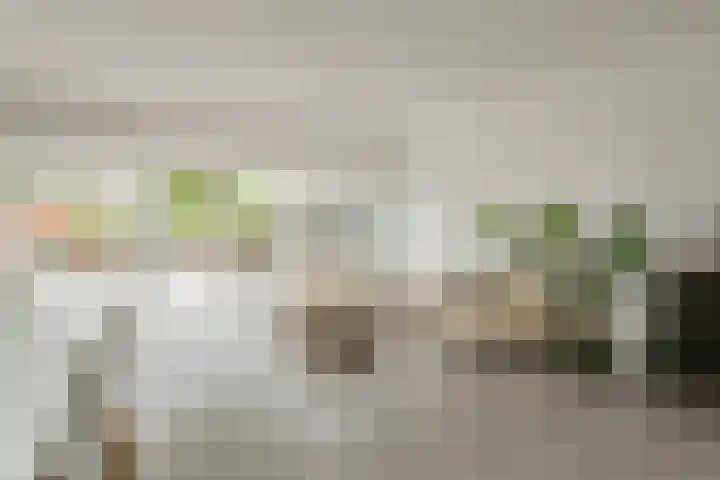 Lisdodde 51 Alphen aan den Rijn thumbnail 8