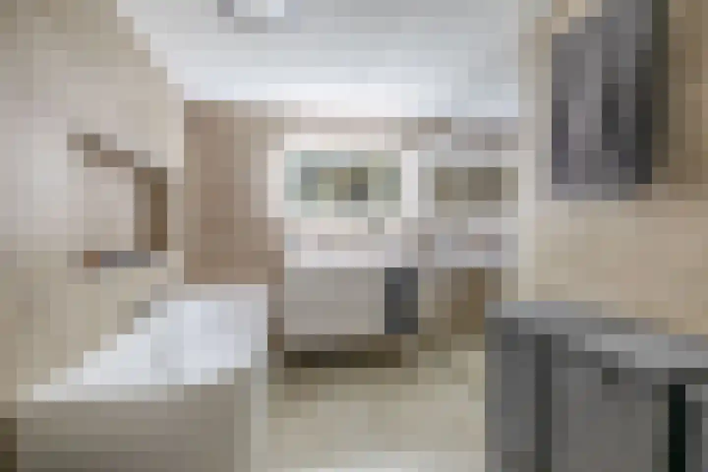 Lisdodde 54 Tegelen thumbnail 11
