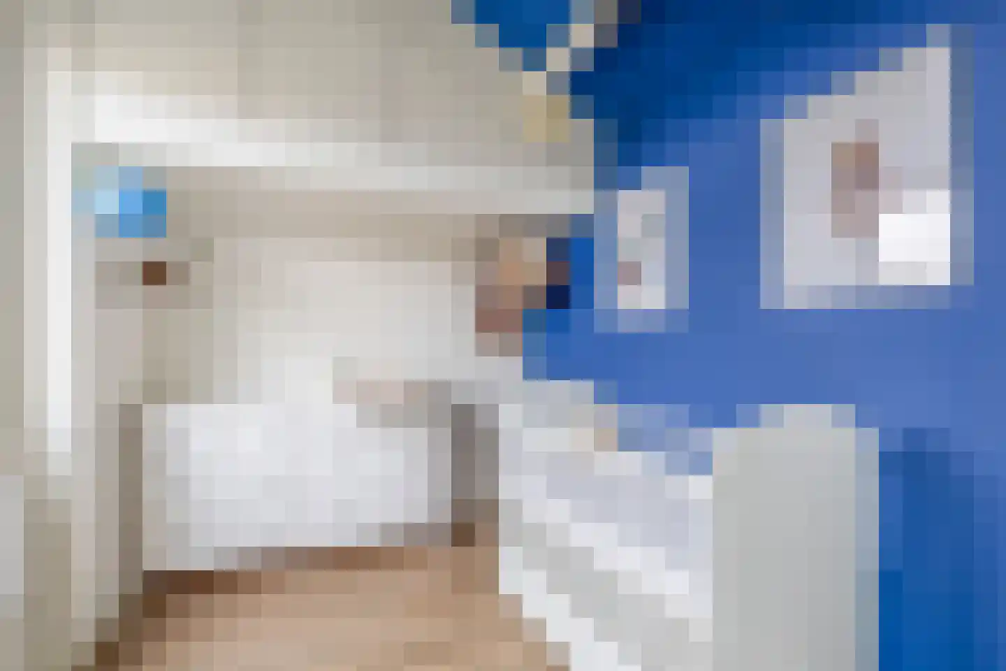 Lisdodde 54 Tegelen thumbnail 15