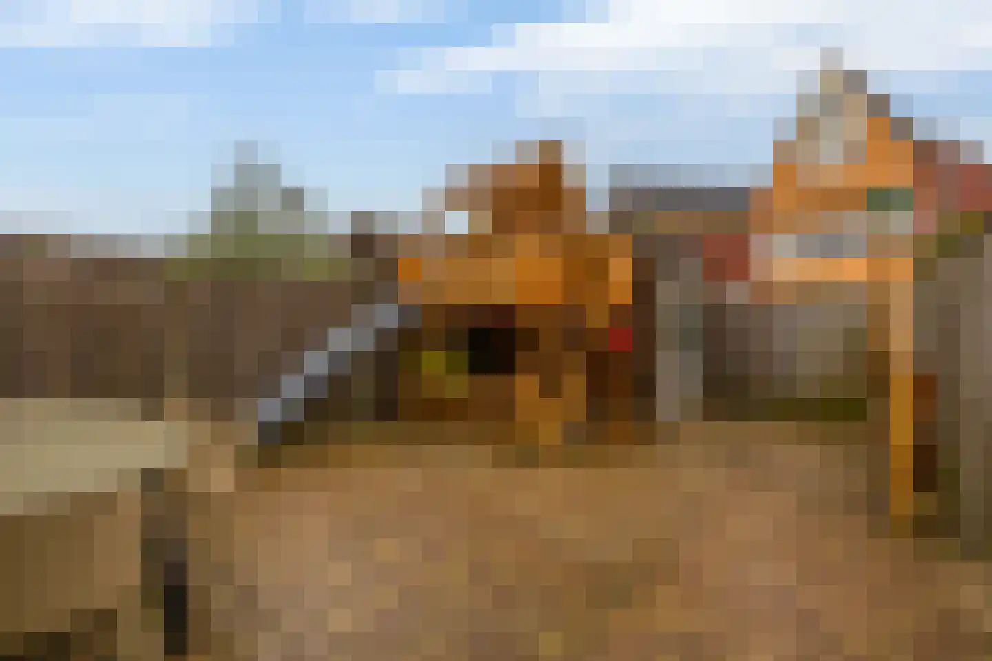 Lisdodde 54 Tegelen thumbnail 19