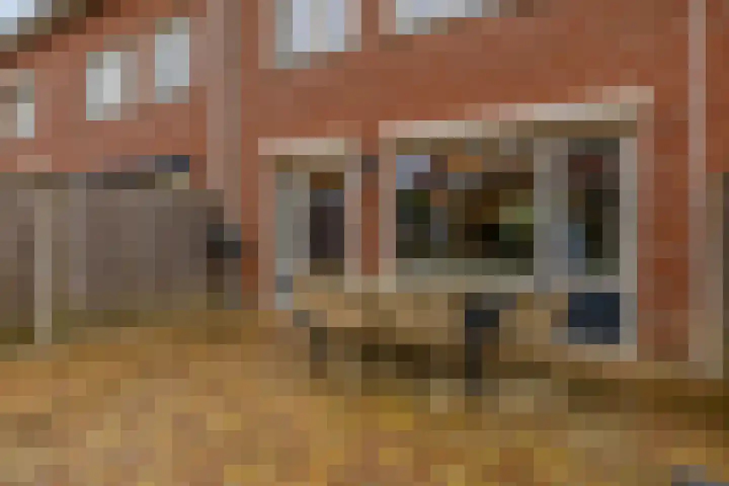 Lisdodde 54 Tegelen thumbnail 20
