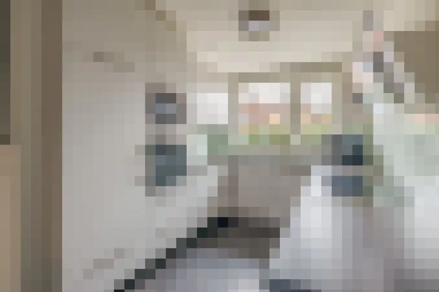 Lisdodde 54 Tegelen thumbnail 5