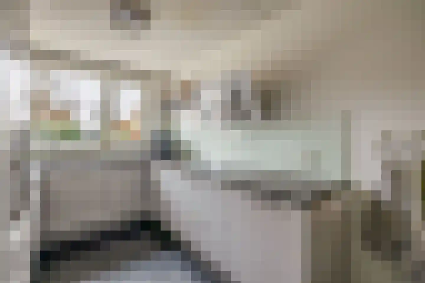 Lisdodde 54 Tegelen thumbnail 6