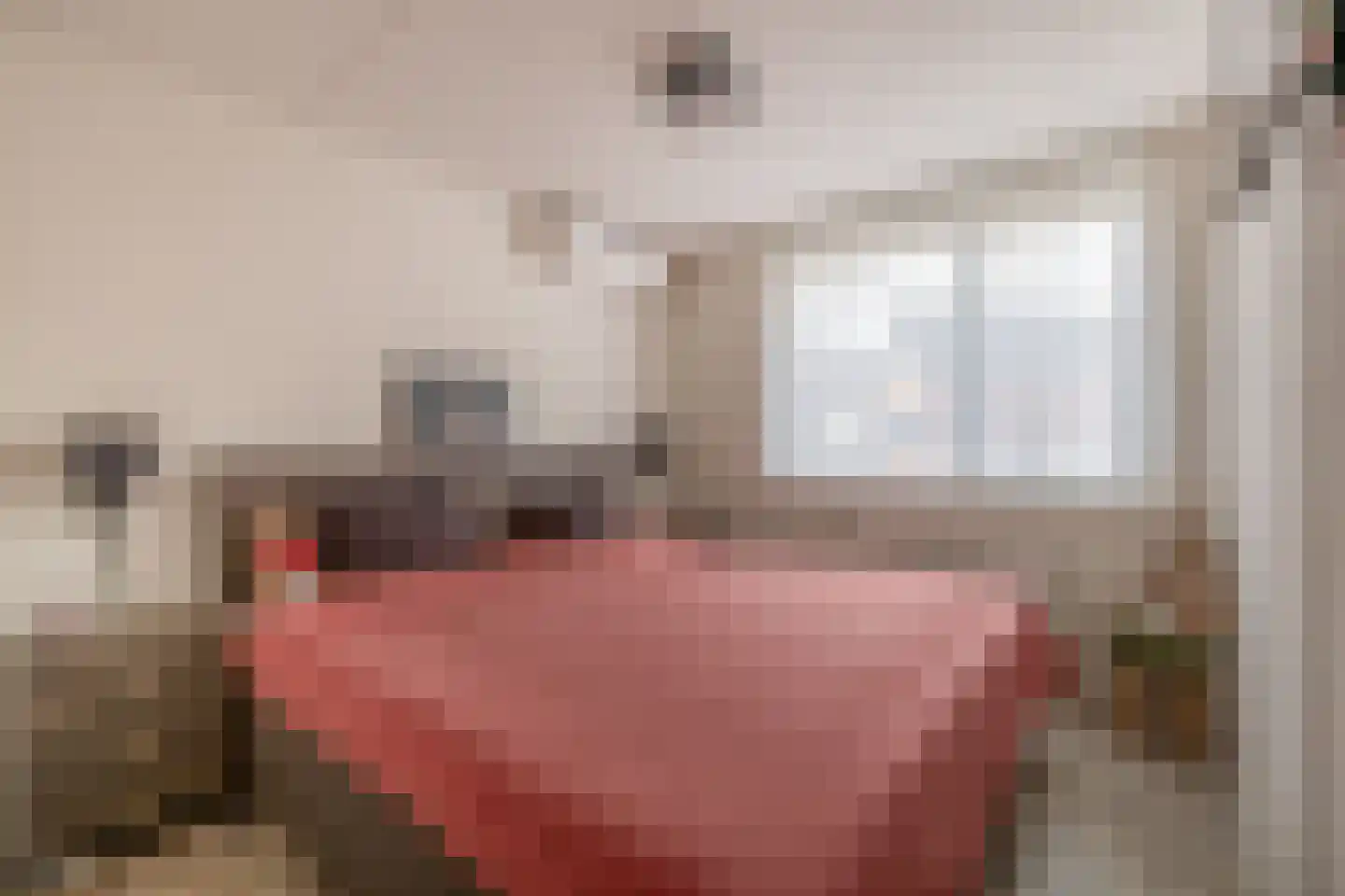 Lisdodde 54 Tegelen thumbnail 8