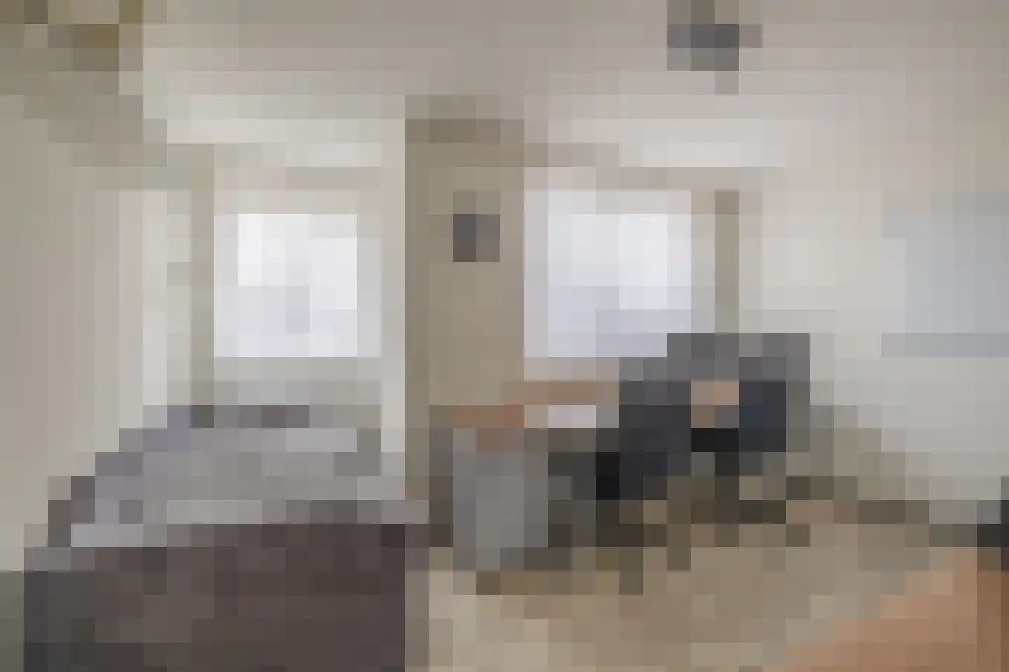 Lisdodde 54 Tegelen thumbnail 9