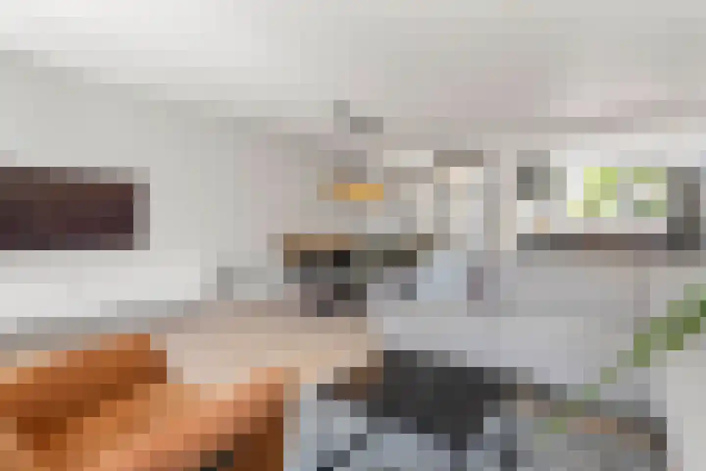 Lisdodde 58 Tegelen thumbnail 10