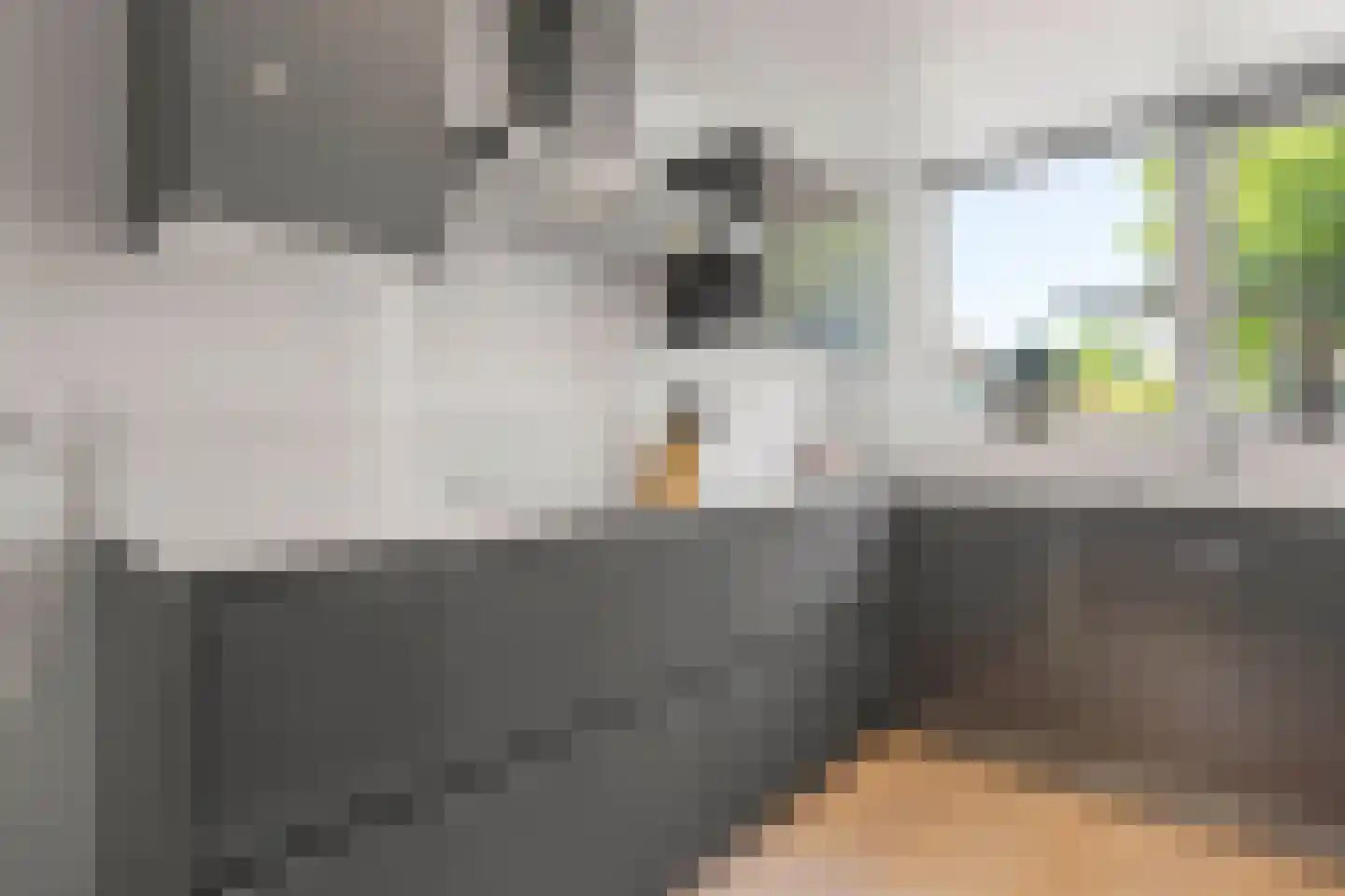 Lisdodde 58 Tegelen thumbnail 12