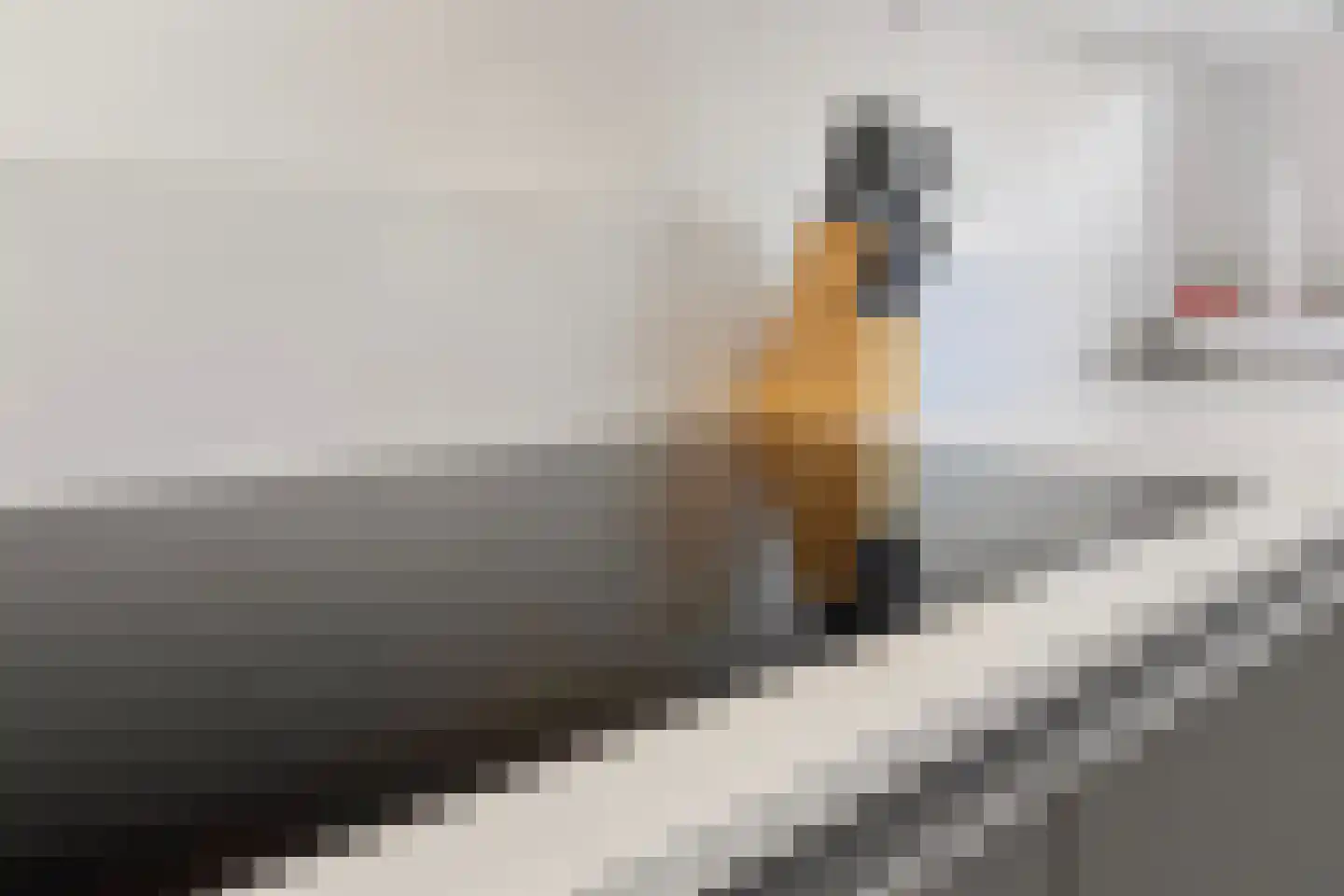 Lisdodde 58 Tegelen thumbnail 13