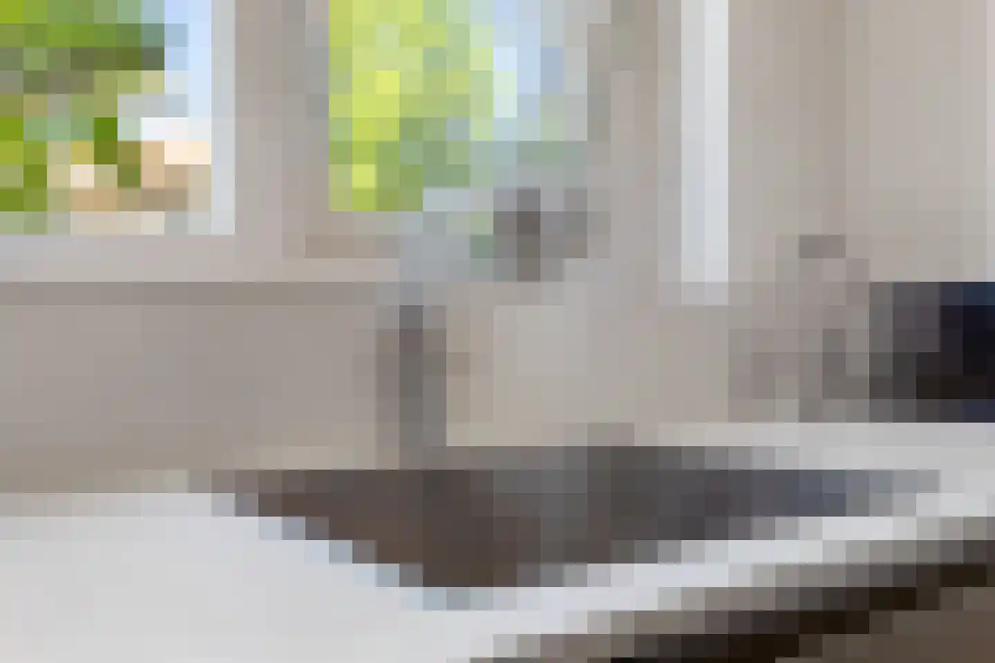 Lisdodde 58 Tegelen thumbnail 14