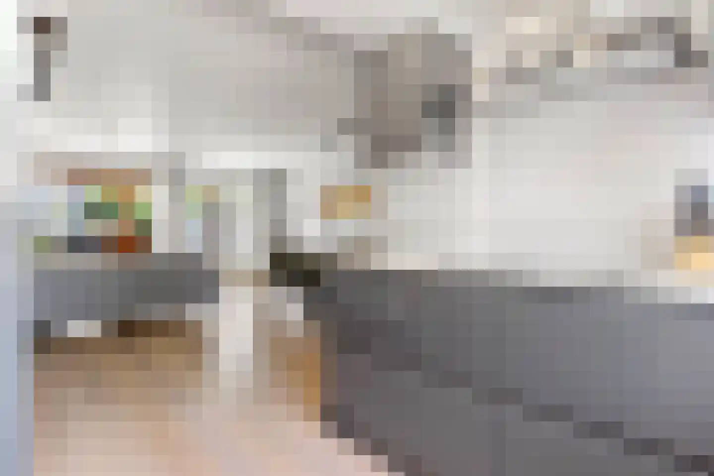 Lisdodde 58 Tegelen thumbnail 15