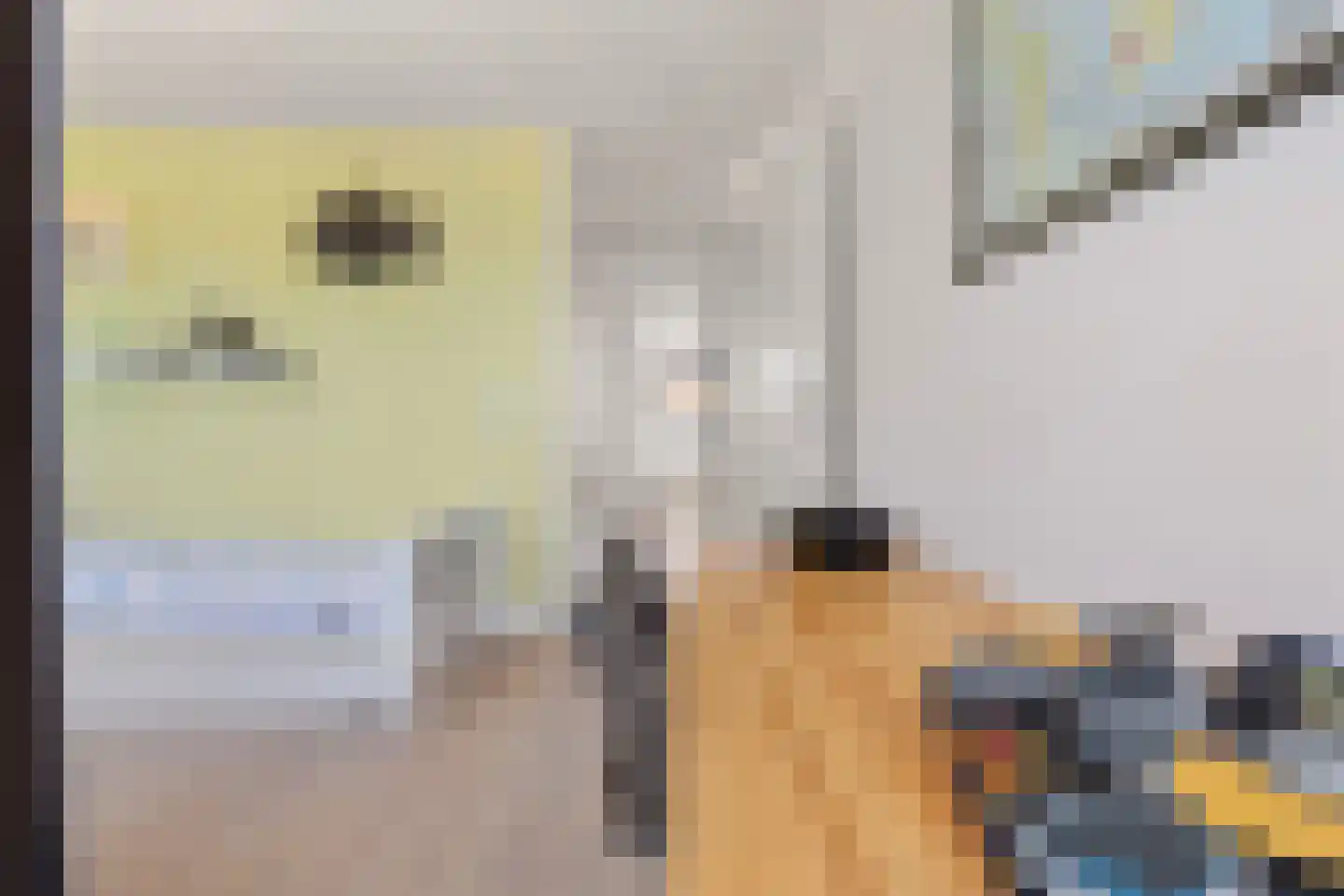 Lisdodde 58 Tegelen thumbnail 18