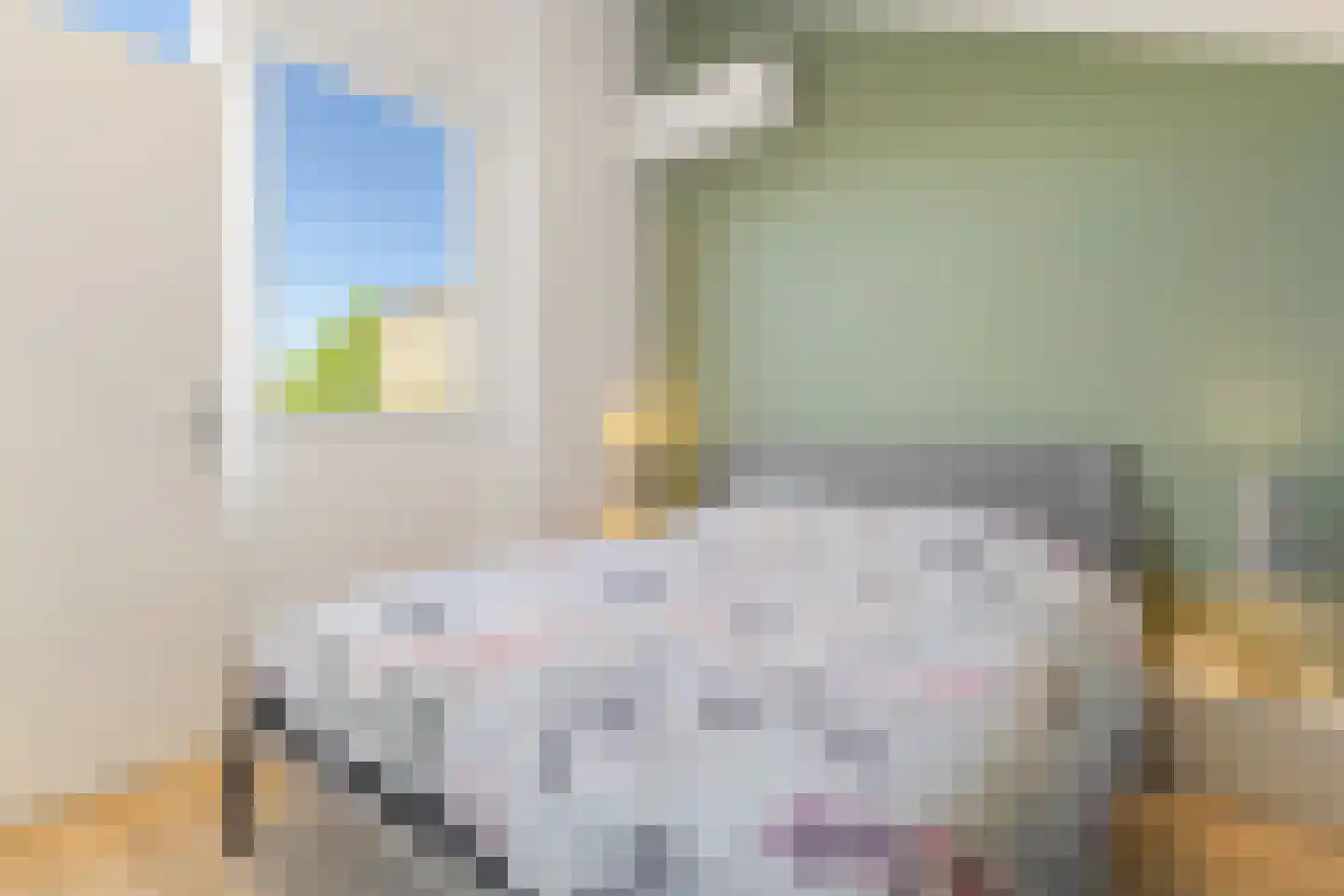 Lisdodde 58 Tegelen thumbnail 29