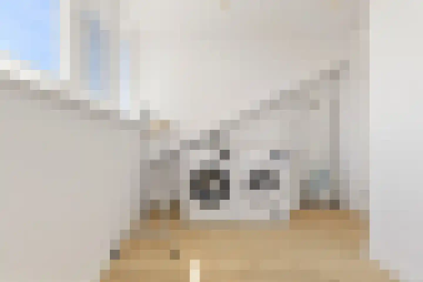Lisdodde 58 Tegelen thumbnail 31
