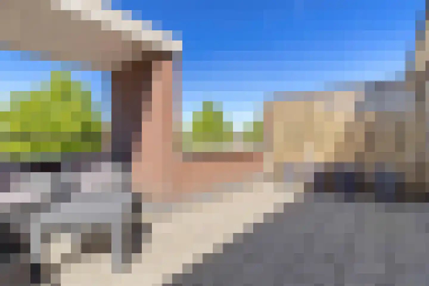 Lisdodde 58 Tegelen thumbnail 33