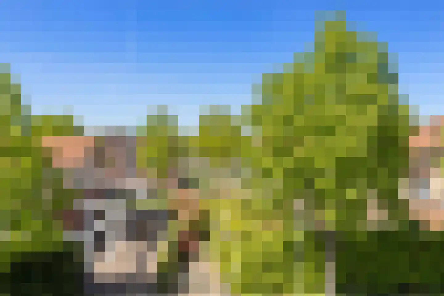 Lisdodde 58 Tegelen thumbnail 34