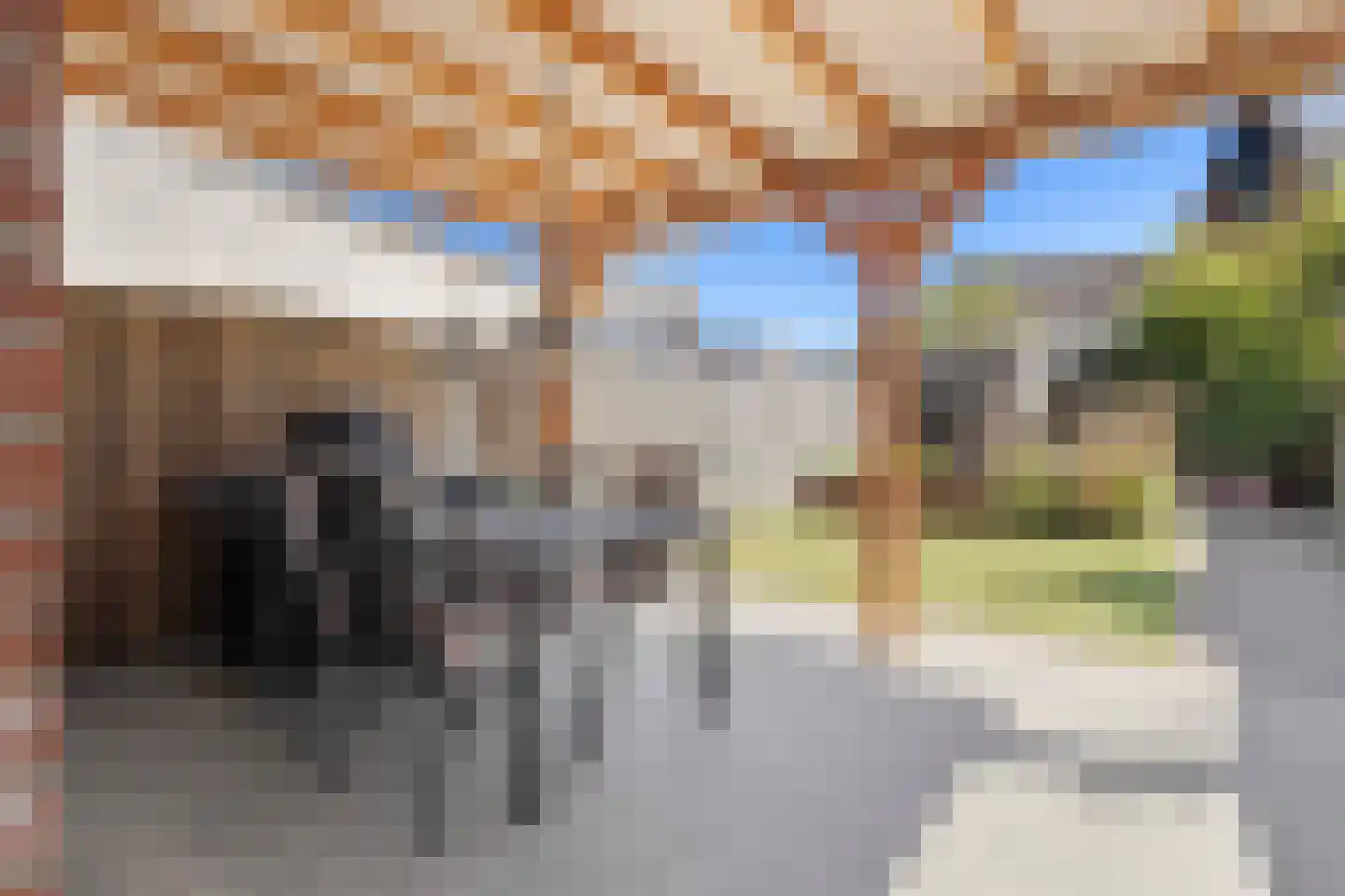 Lisdodde 58 Tegelen thumbnail 36