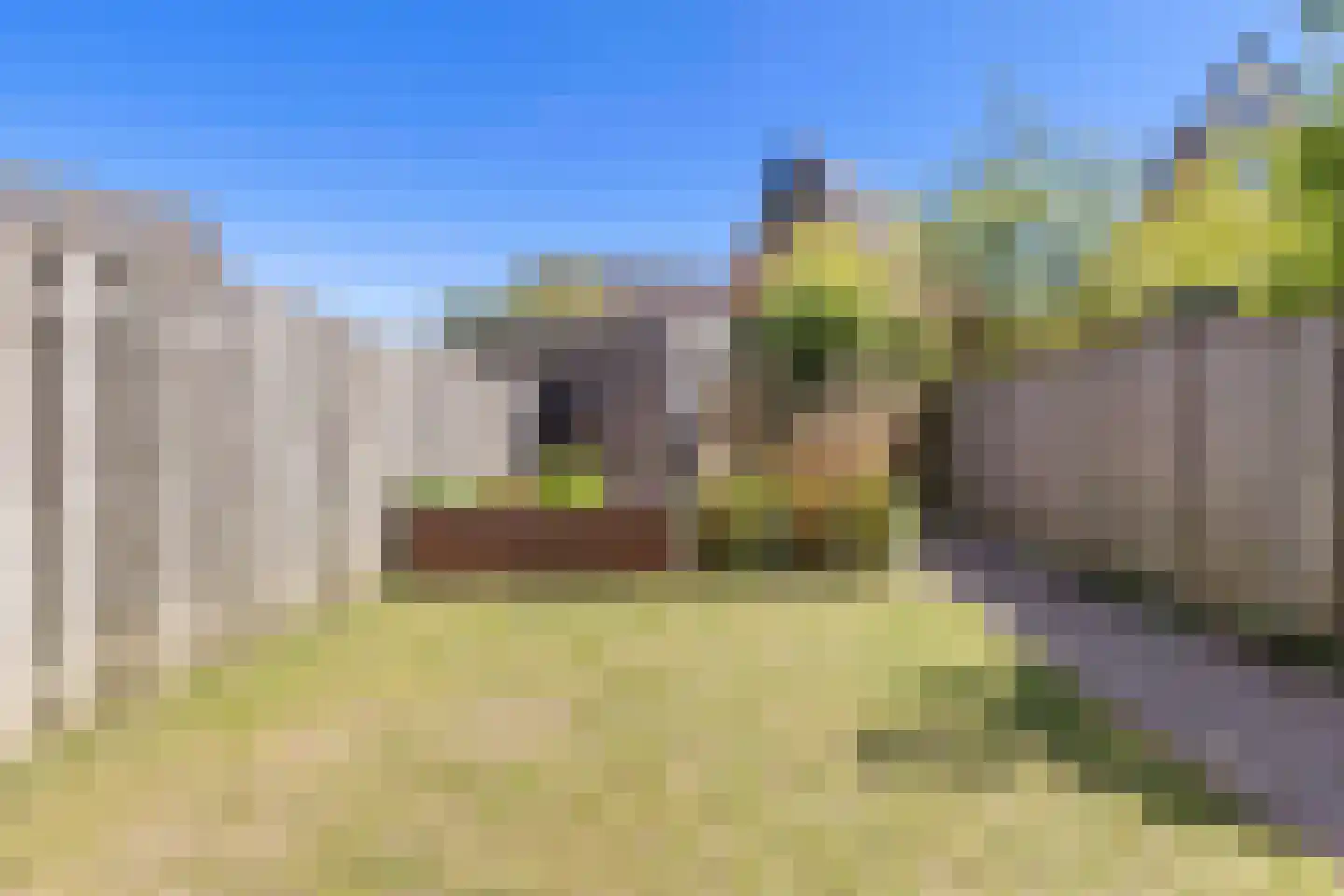 Lisdodde 58 Tegelen thumbnail 37