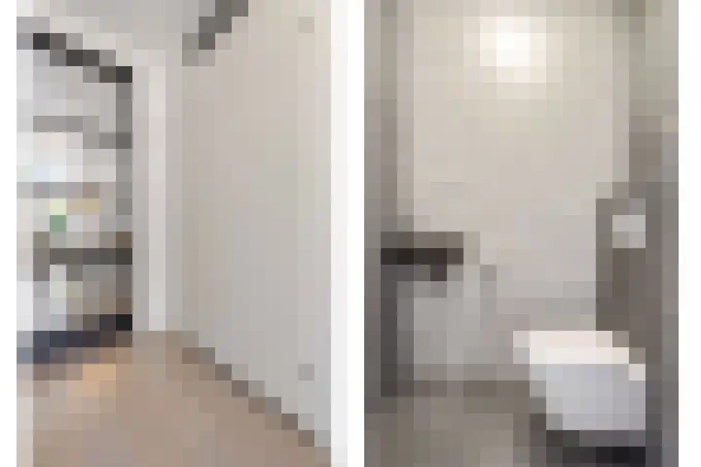 Lisdodde 58 Tegelen thumbnail 4