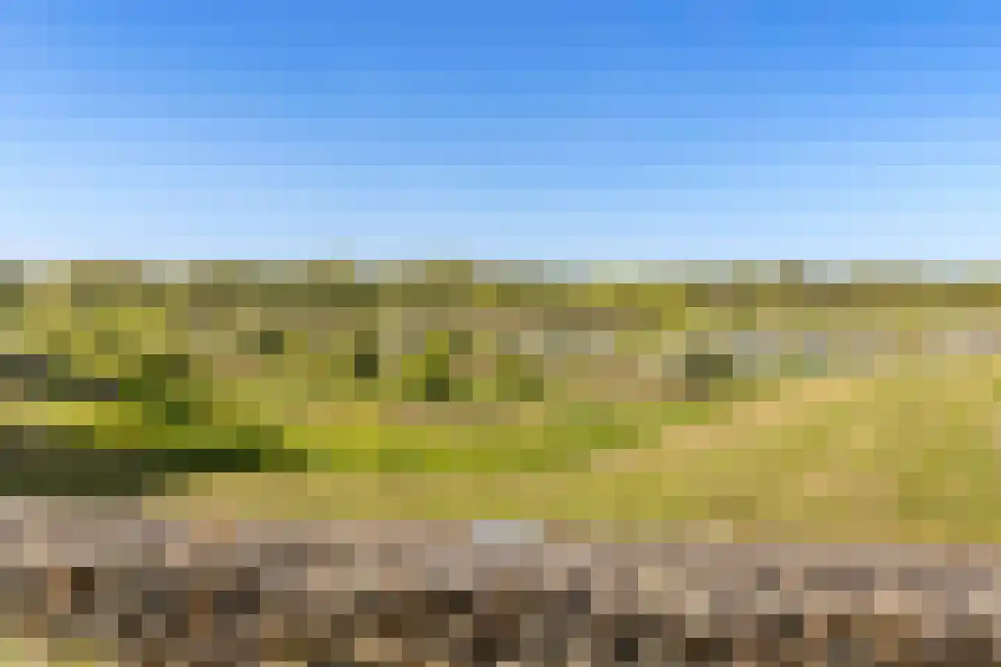 Lisdodde 58 Tegelen thumbnail 40