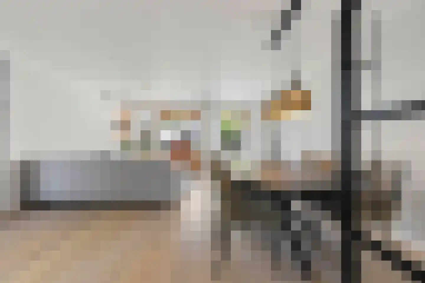 Lisdodde 58 Tegelen thumbnail 5