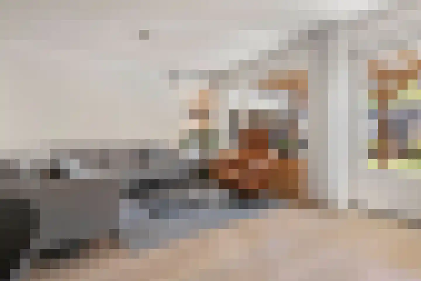 Lisdodde 58 Tegelen thumbnail 7