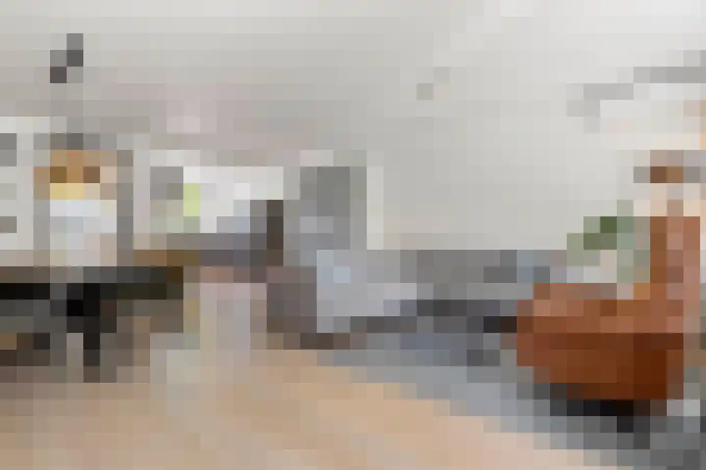 Lisdodde 58 Tegelen thumbnail 8