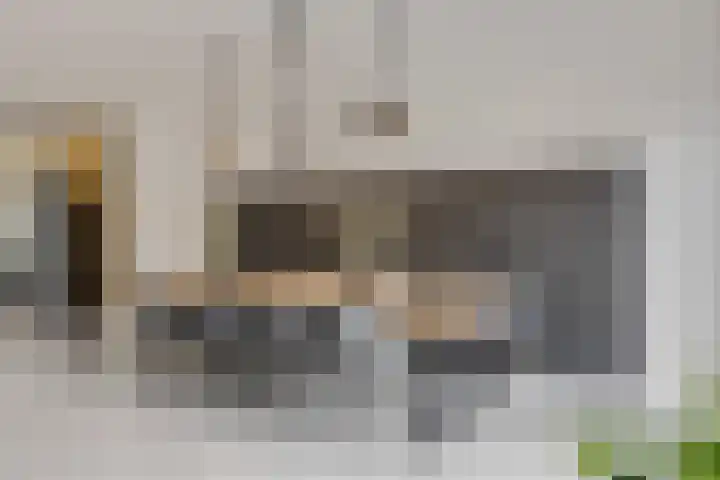 Lisdodde 58 Veenendaal thumbnail 15