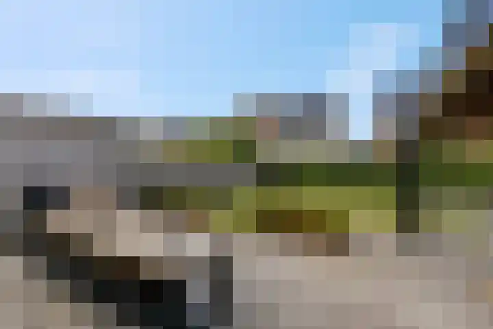 Lisdodde 58 Veenendaal thumbnail 42