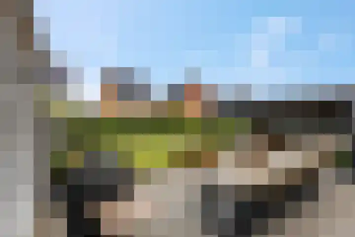 Lisdodde 58 Veenendaal thumbnail 43