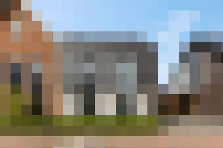 Lisdodde 58 Veenendaal thumbnail 5