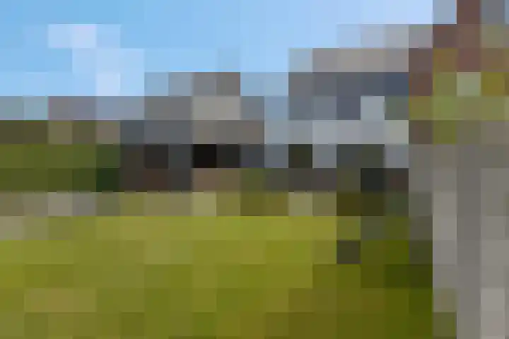 Lisdodde 58 Veenendaal thumbnail 50