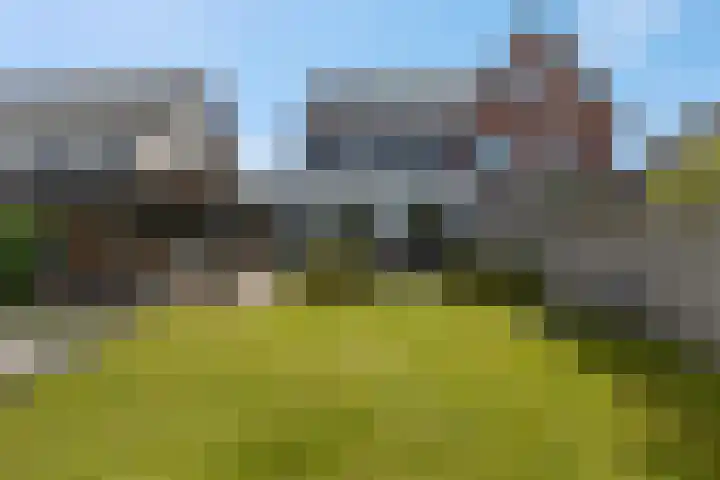 Lisdodde 58 Veenendaal thumbnail 51