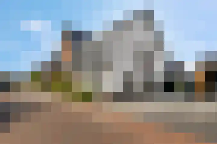 Lisdodde 58 Veenendaal thumbnail 52