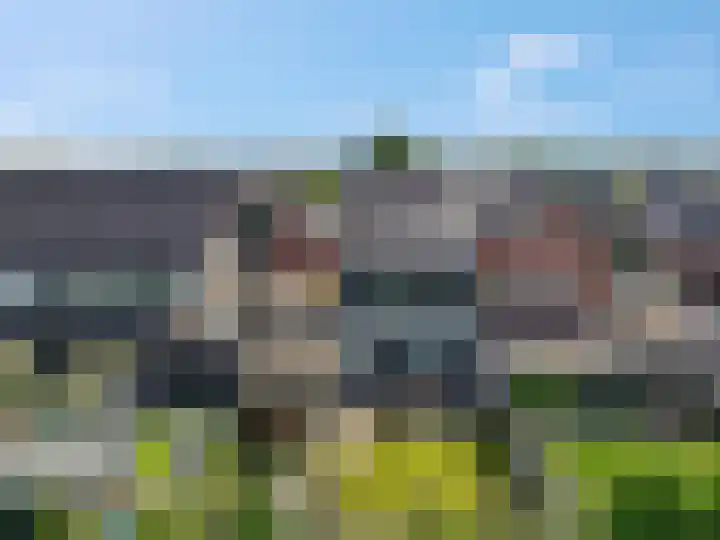 Lisdodde 58 Veenendaal thumbnail 53
