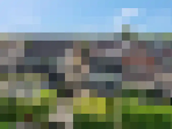 Lisdodde 58 Veenendaal thumbnail 54