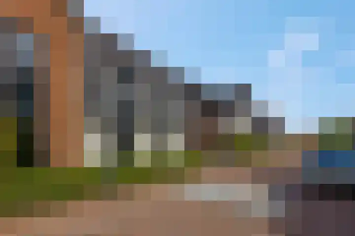 Lisdodde 58 Veenendaal thumbnail 6