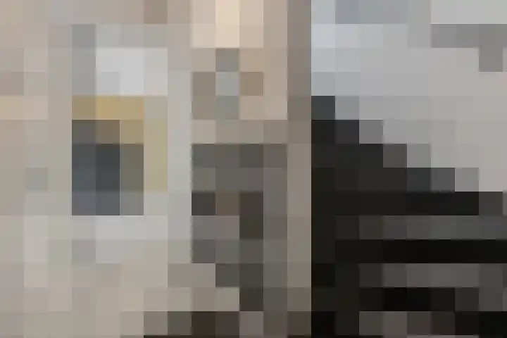 Lisdodde 58 Veenendaal thumbnail 7