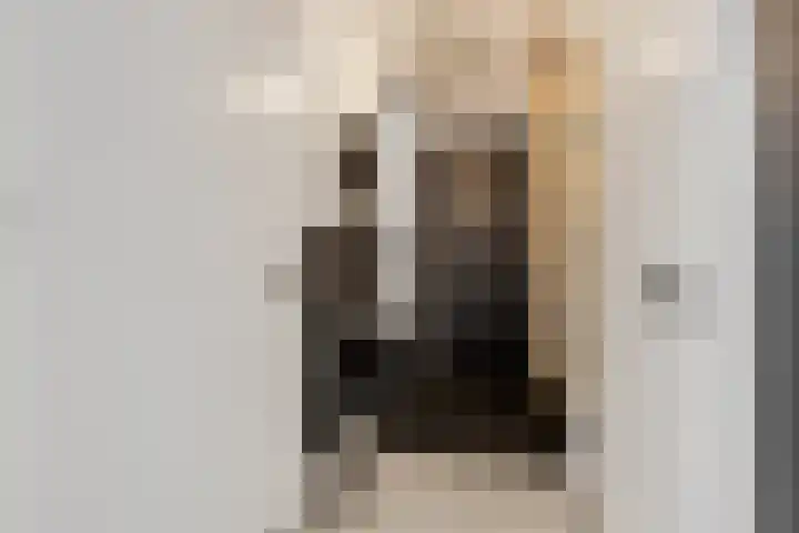 Lisdodde 58 Veenendaal thumbnail 8