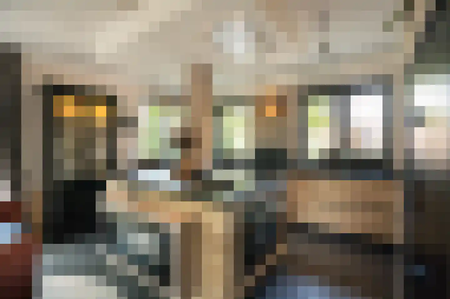 Lisdodde 6 Ameide thumbnail 11