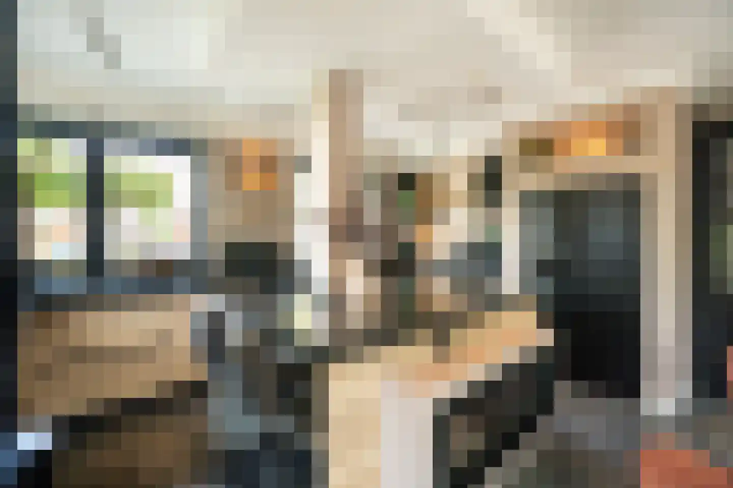Lisdodde 6 Ameide thumbnail 12