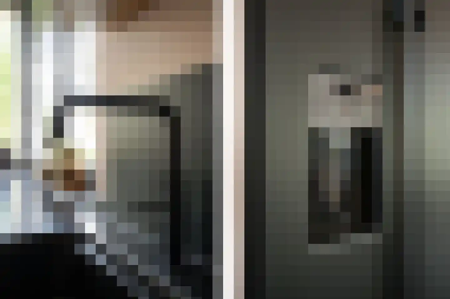 Lisdodde 6 Ameide thumbnail 15