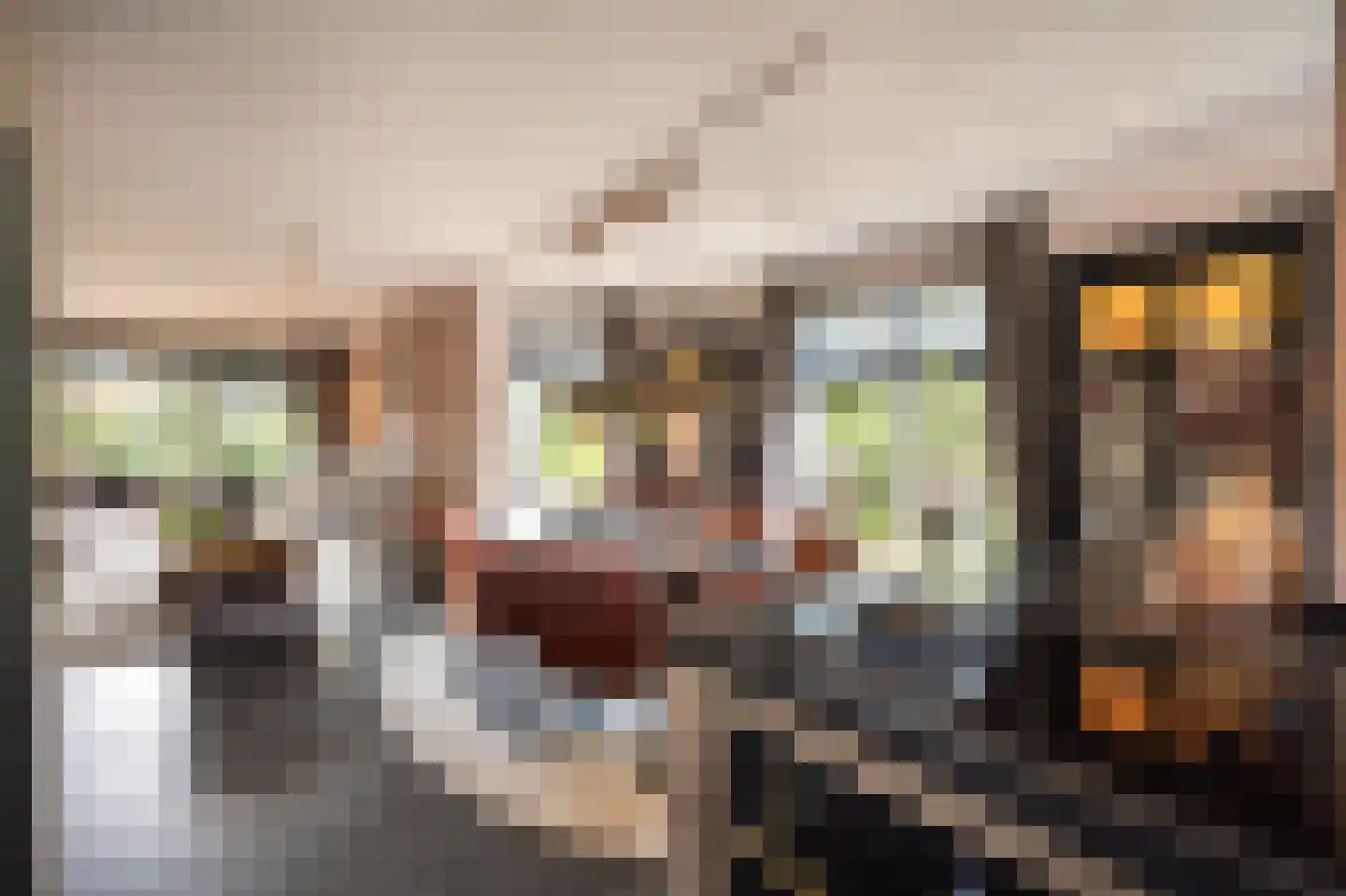 Lisdodde 6 Ameide thumbnail 16