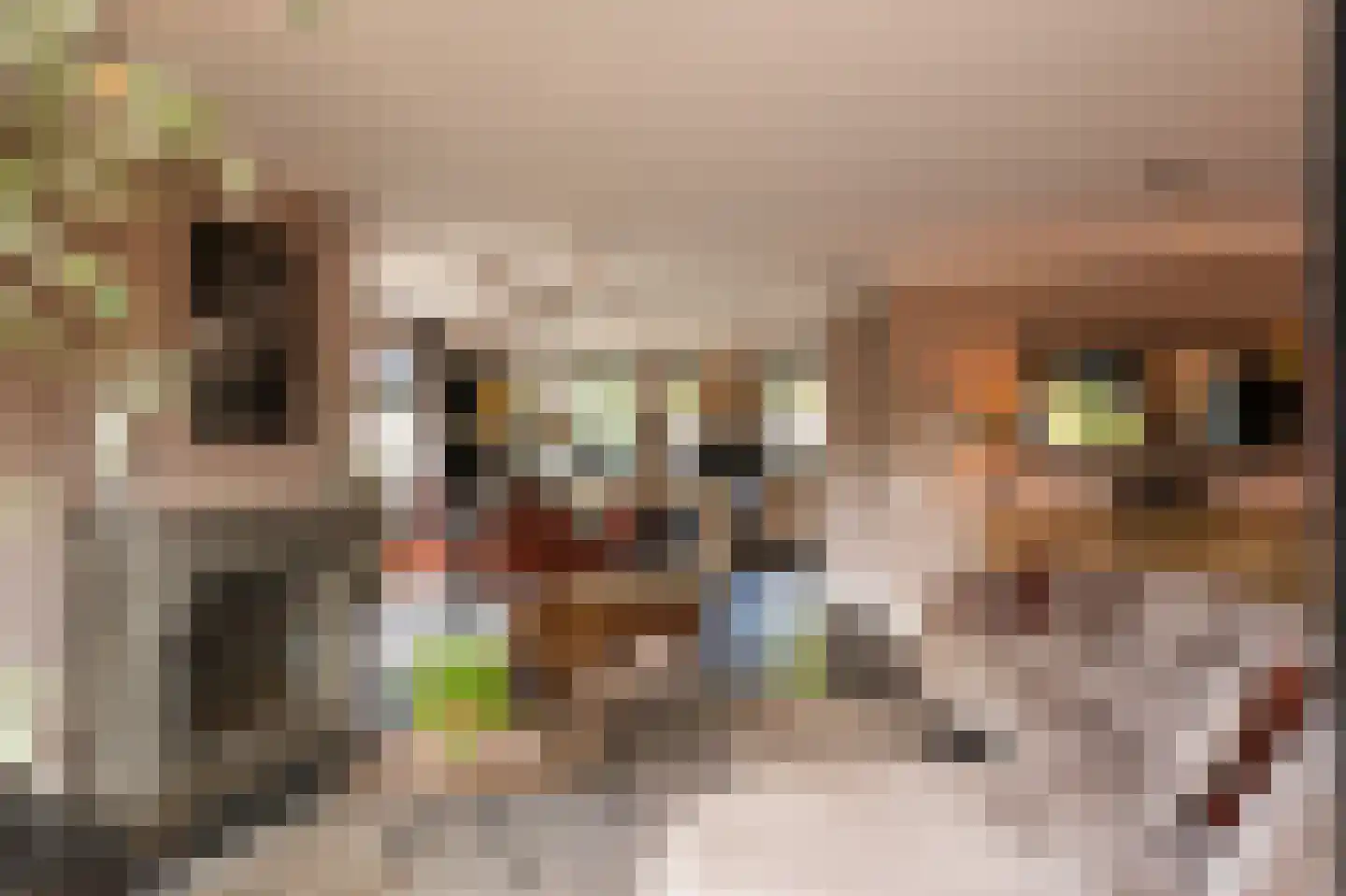 Lisdodde 6 Ameide thumbnail 20
