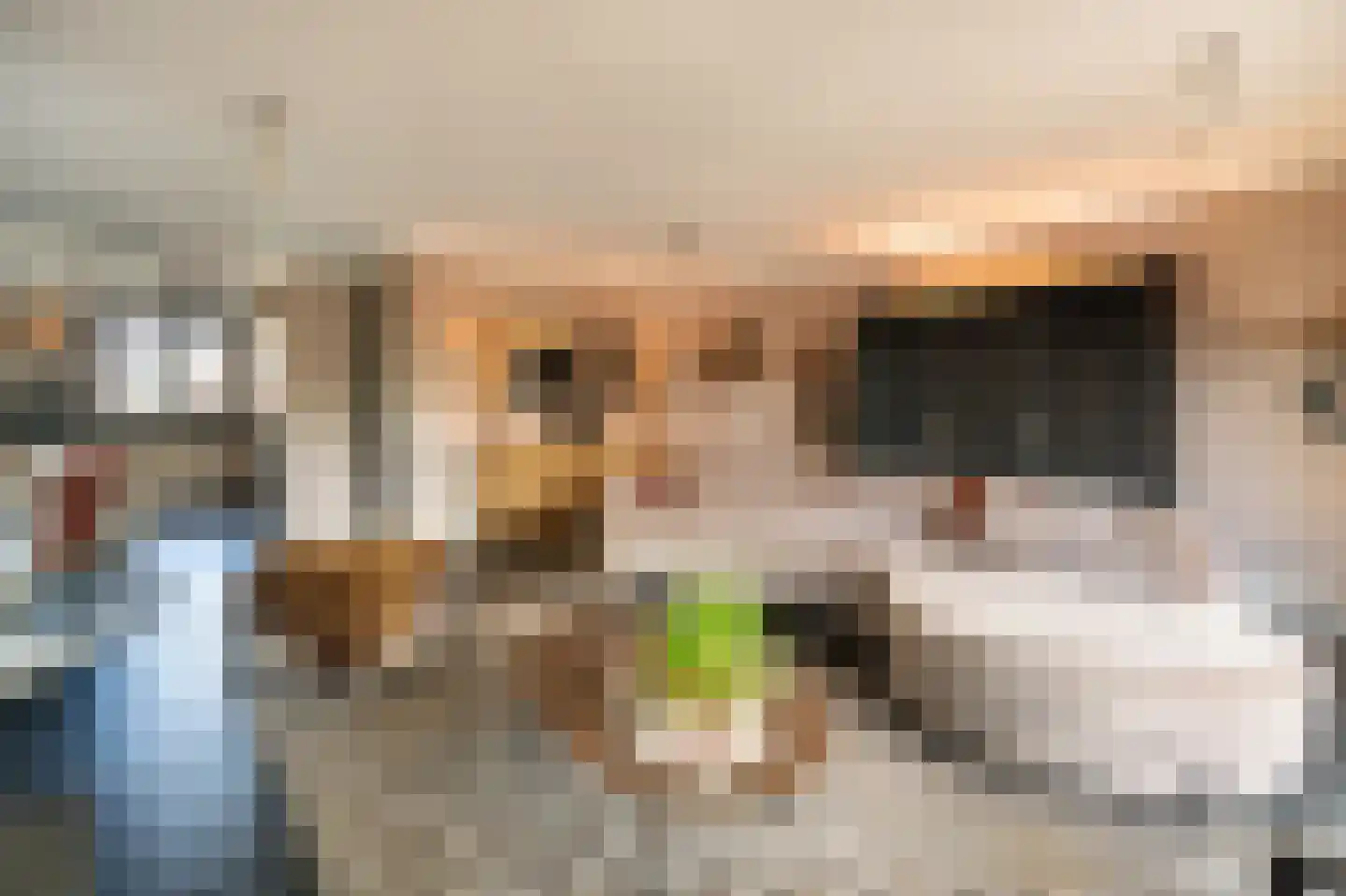 Lisdodde 6 Ameide thumbnail 21