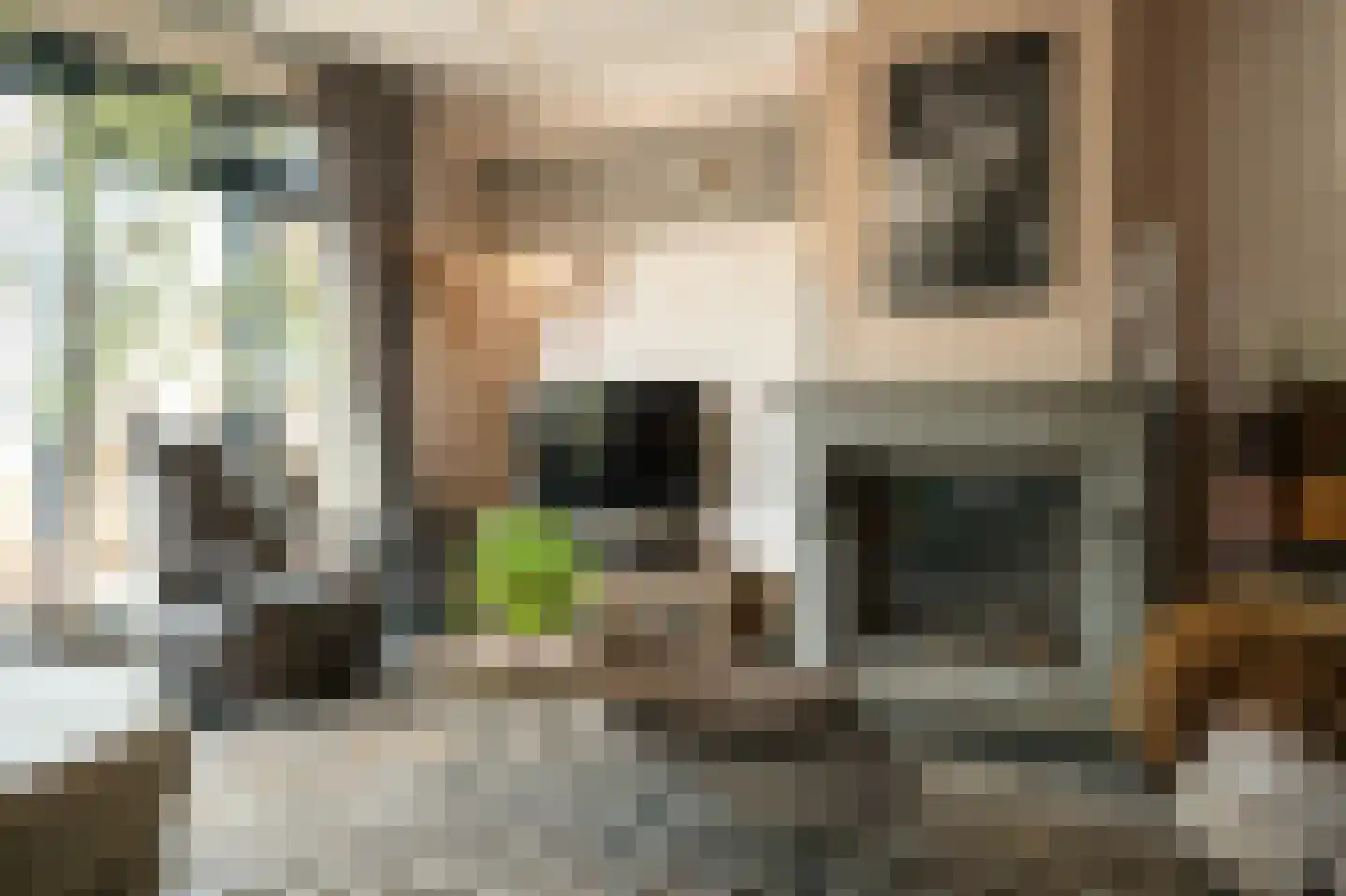 Lisdodde 6 Ameide thumbnail 24