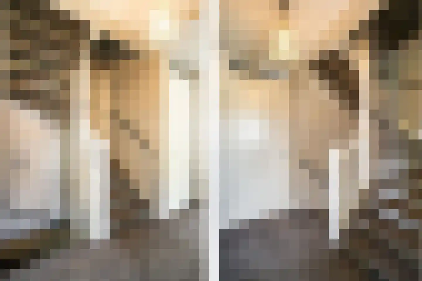 Lisdodde 6 Ameide thumbnail 26