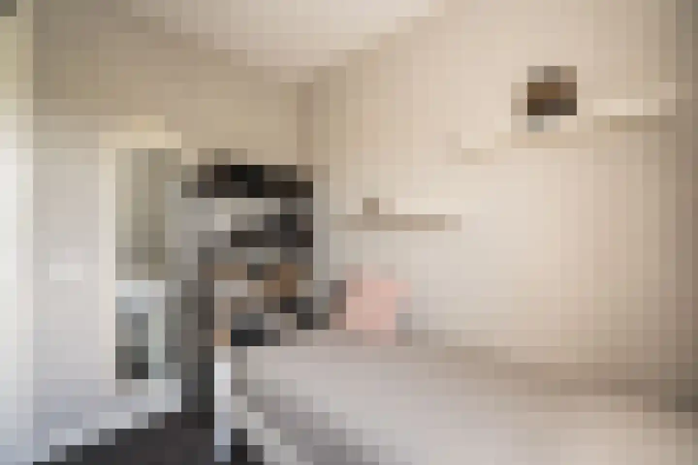 Lisdodde 6 Ameide thumbnail 27